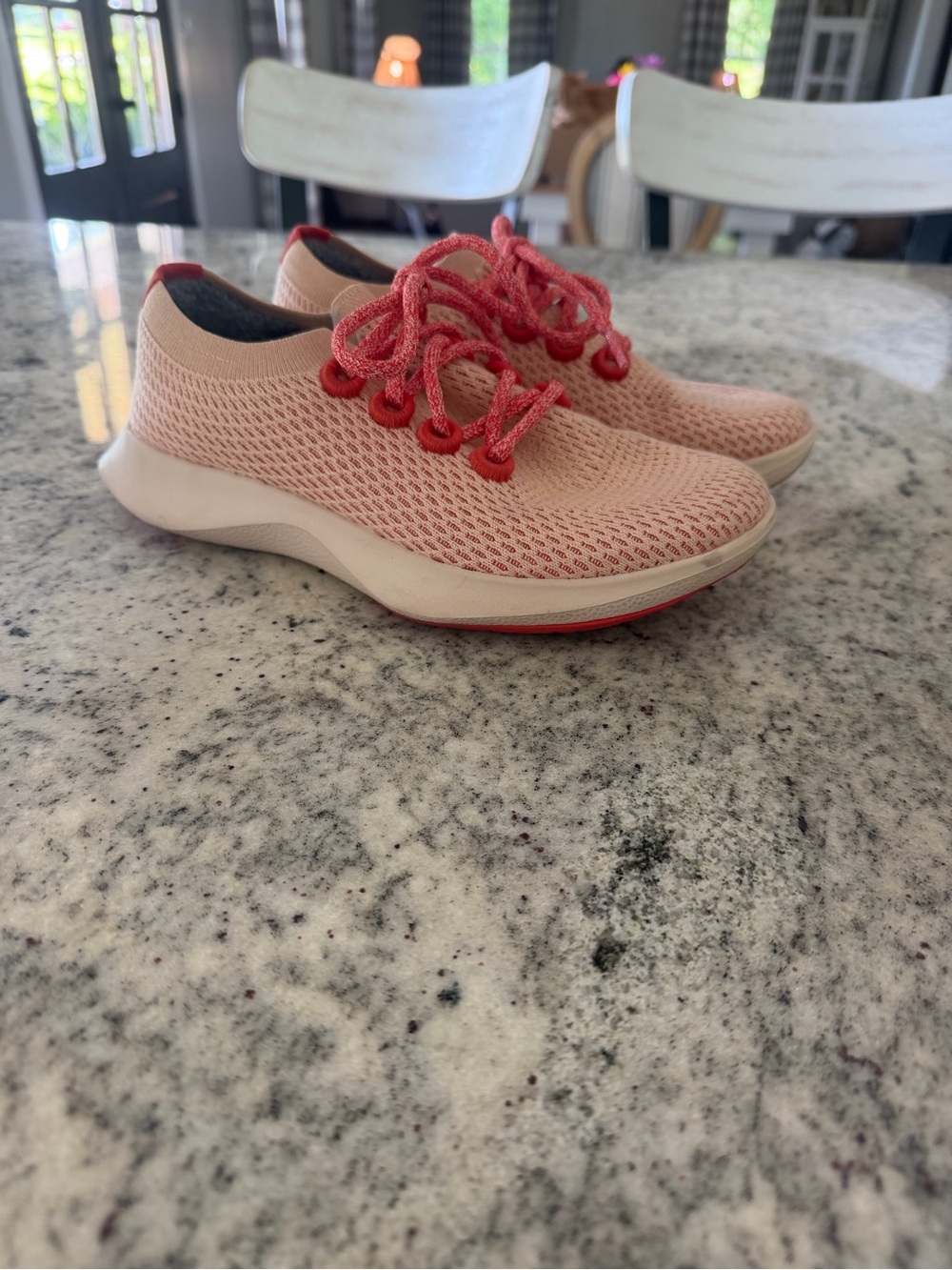 Allbirds Tree Dasher running shoes